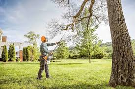 Best Lawn Drainage Solutions  in Cedarburg, WI