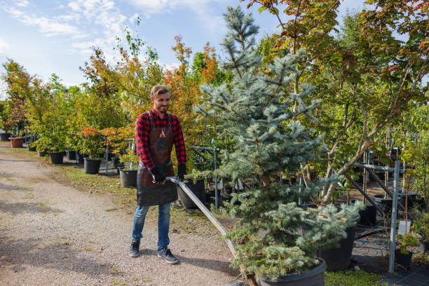 Best Lawn Watering Services  in Cedarburg, WI